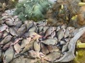 На Кировоградщине у браконьеров изъяли рыбы более чем 200 тысяч гривен