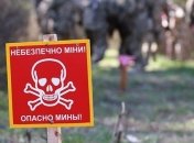 Украина в ОБСЕ рассказала о российских противопехотных минах на Донбассе