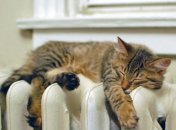 У квартирах киян опалення не відключали через похолодання