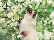 Квітень розпочнеться з гарної погоди