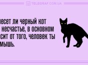 Начинаем день с юмора: утренние анекдоты 17 марта