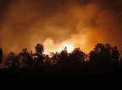 Эксперт: Леса в Индонезии будут гореть до января