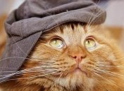 Порция отборного юмора в картинках