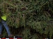 На Рождество Южная Корея поставит у границы с КНДР елку 