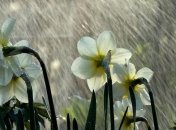 Украинцев 5 мая ждет 32-градусная жара, но местами пройдут грози