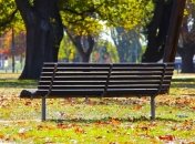 Готовят людей к борьбе с болезнями: деревья в парках влияют на иммунитет горожан