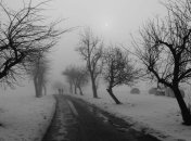 Погода в Украине на 10 декабря: потепление, местами мокрый снег