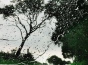 Ливни и штормовой ветер: в Украине пропал свет в сотни населенных пунктов