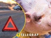 Колаж "Телеграфу"