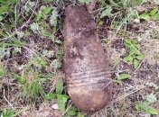 Нашли посреди лесополосы и на огороде: в Днепропетровской области пиротехники ликвидировали боеприпасы