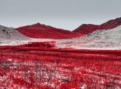 Потрясающие инфракрасные фотографии превращают швейцарские Альпы в инопланетные места (Фото)