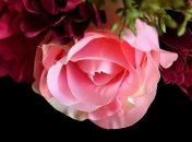 Красивые СМС поздравления с днем рождения на 29 апреля