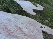 Тяжелые последствия для климата: в Италии порозовели альпийские ледники