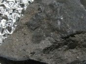 В метеорите обнаружили алмазы из погибшей планеты