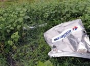 Гройсман рассказал о "черных ящиках" с Boeing-777 