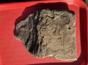 Камень "Воин Гована"