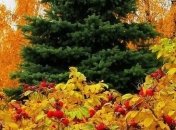 Какие продукты помогут преодолеть осеннюю депрессию