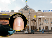 Кав'ярня з рептиліями в Одесі