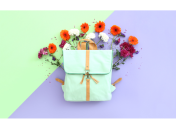 День учителя 2017: дата праздника в Украине