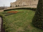 Кличко пообещал сохранять и развивать зеленые зоны Киева 