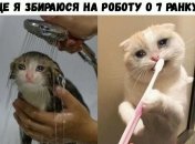 Хріново працювати в жіночому колективі. Ні про футбол поговорити, ні про баб...: прикольні жарти про роботу