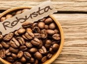 Кофе под угрозой: робуста может погибнуть