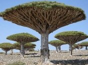 Удивительно красивейшие места, где вам никто не помешает (Фото)