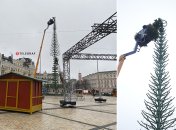 Робітники вже розміщують ялинові гілки