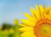 24 августа. Приметы дня