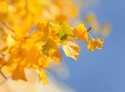 12 октября. Приметы дня