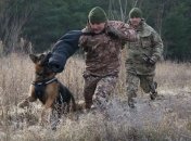 На Луганщине пограничники одели служебных собак в бронежилеты (Видео)