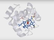 Биоинженеры заставили бактерии синтезировать силиконы