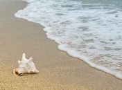 COVID-19 во Флориде: Пляжи Майами закроют ко дню независимости США