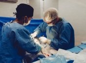 Напечатанное сердце: ученым удалось напечатать на 3D-принтере клапан, который можно внедрить человеку