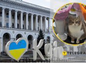 Кошка возле цветов, Киев