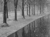 Погода в Украине на 12 декабря: в некоторых регионах дождь со снегом