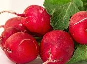 ТОП самых легких в выращивании овощей