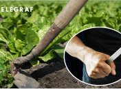 Зброю вбивства вилучили та направили на експертизу