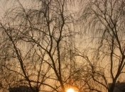 Прогноз погоды в Украине на 9 декабря: день ясный, без осадков