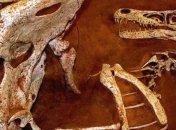 Археологи сделали удивительные находки в Китае