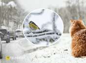 Погода в Украине зимой