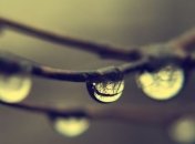 Прогноз погоды в Украине на сегодня: дожди на севере и востоке