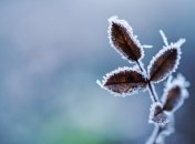 Морозы в Украине