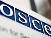 Журналисты согласовали с ОБСЕ план международной конференции в Вене