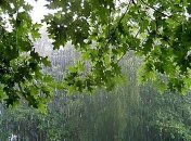 Погода на выходные: синоптики рассказали, где ждать потепления