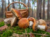 Простий, але дуже ефективний трюк