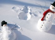 Через 20-30 лет в Украине не будет снега