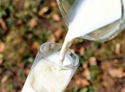 Развеяны популярные мифы о молоке