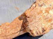 В Египте нашли статую жены фараона