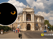 В Одессе на Трассе здоровье заметили лису